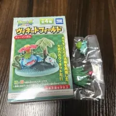 ヴィネットフィールド フシギダネ フシギバナ