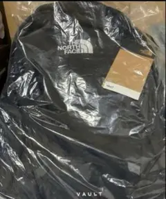 [ノースフェイス] リュック VAULT [並行輸入品]