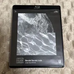 UNISON SQUARE GARDEN Bee-side Sea-side