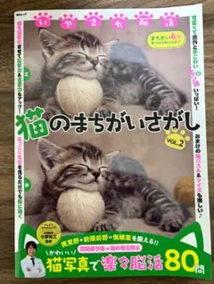【半額】猫の雑誌（子猫）