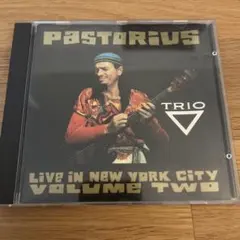 Pastorius Trio Live In New York City