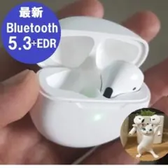 Bluetoothワイヤレスイヤホン ブルートゥースヘッドセット付属品多数❣️X