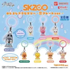 skzoo めじるしアクセサリー 雲プレート