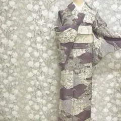 着物 夏物 正絹絽小紋生地 粋な白地の七宝文様 新品 送料込み ro267