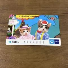 猫 ねこ ネコ なめんなよ カード　なめ猫