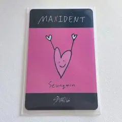2026年最新】StrayKids スンミン maxidentの人気アイテム - メルカリ