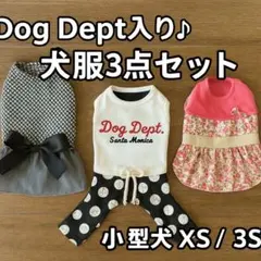 Dog Dept入り♪ 犬服3点セット 小型犬 XS / 3S