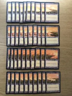 ウルザス・サーガの平地/Plains 英語版絵柄別40枚セット USG MTG