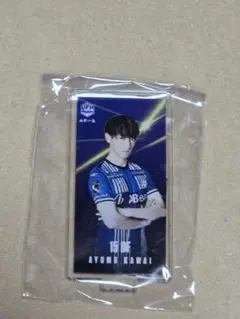 川井歩　ロッカーパネル　モンテディオ山形
