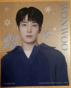 seventeen セブチ トレカ カード 一番くじ　ラストワン賞 一番くじ PetiTEEN from SEVENTEEN」が9月上旬発売！ぬいぐるみ
