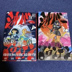 シルバーマウンテン = 銀嶺 = Silver Mountain. 1、2