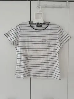 ROYAL VERDY INTERNATIONAL ボーダー Tシャツ　白