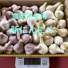 令和8年農薬不使用新にんにく やや小さめ BOX込み1.1キロ以上のサムネイル
