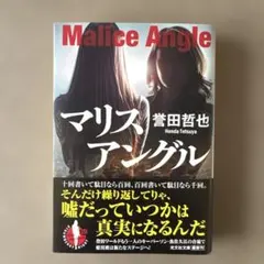 マリスアングル