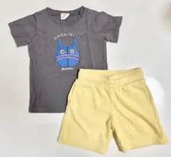 だだんだん　アンパンマン　半袖Tシャツ ズボン　セット