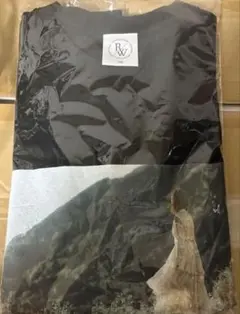 櫻坂46 渡邉理佐　tシャツ　FC限定　僕のジレンマ　Mサイズ
