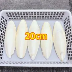 ㊽カトルボーンのサムネイル