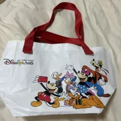 【新品未使用】香港ディズニー限定 ショップ袋、ショッパー、トートバッグ