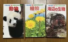小学館の図鑑　動物、植物、海辺の生物3冊セット　NEO POCKET