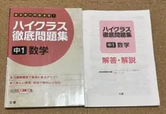 Item thumbnail for item 69d0eca4-53f6-431b-b2f5-b8f7b67240f2