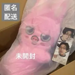 2026年最新】SKZOO ぬいぐるみ チャンビンの人気アイテム - メルカリ