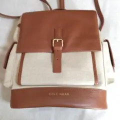 Item thumbnail for item 72af719f-961d-495f-bcf7-41c8abb9263e