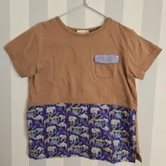 センスオブワンダー　キューフォーザズー　半袖　Tシャツ　120cm