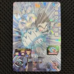ドラゴンボールヒーローズ⭕️孫悟空少年期⭕️丸太悟空ugm10-011 DA⭕️ 2026年最新】UGM10 孫悟空の人気アイテム - メルカリ