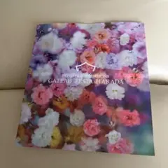 Item thumbnail for item b26e0637-eed0-4a39-a72c-6187ed829259