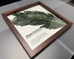 shimo様 リクエスト 2点 まとめ商品