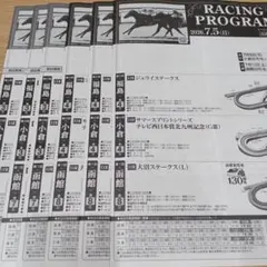 11/29.30 JRA レーシングプログラム 20 レーシングスケジュール付