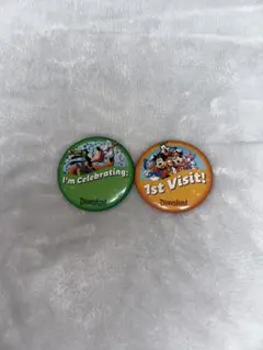カリフォルニアディズニーランド ピンバッジ 2個セット
