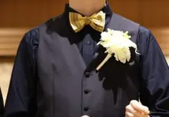 2025年最新】トリートドレッシング蝶ネクタイの人気アイテム