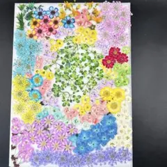 村上隆 もののけ京都 グッズ 金色の空の夏のお花畑 - メルカリ