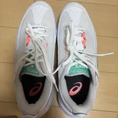 アシックス　1063A113 25.0