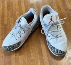 NIKE JORDAN ADG 4 ゴルフシューズ CT7812-100 - メルカリ