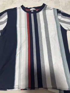YEVS マルチストライプ 半袖Tシャツ Lのサムネイル