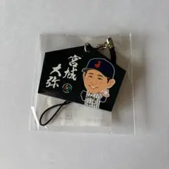 定松勇樹選手ファンミーティング50組100人限定グッズ 2026年最新】定松勇樹の人気アイテム - メルカリ