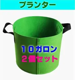 グリーン 不織布プランター 布鉢 ポット 栽培 家庭菜園 10ガロン 2個セット
