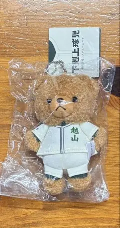 2025年最新】下剋上球児 コスチュームベアの人気アイテム - メルカリ