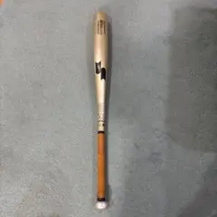 Item thumbnail for item 5a2744c6-322c-45b5-856a-ef553e547748