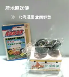 【未開封】リーメント　産地直送便　　⑨　北海道産　北国野菜