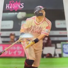 福岡ソフトバンクホークス ピンクフルデー 2025 ハードブロマイド