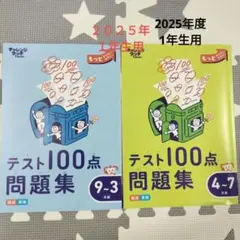 ベネッセ　テスト100点問題集 4-7 & 9-3 ２本セット
