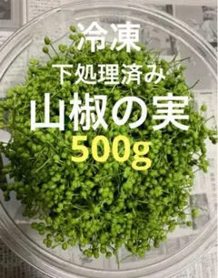 農薬不使用 自然栽培 生 穂紫蘇 紫蘇の実 しその実 500g 塩漬けに