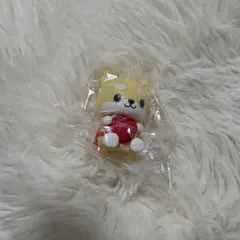 JOCHUM まめちぃ シークレットマスコット