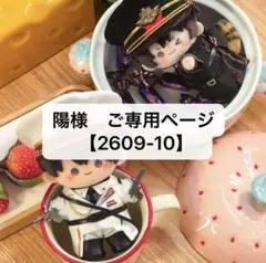 HoneyWorks ハコニワリリィ はのまる こともち ぬいぐるみ 大 - メルカリ