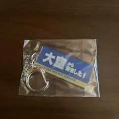 北海道日本ハムファイターズ キーホルダー 大空から来ました！