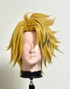 あゆ様専用ウィッグご確認ページ