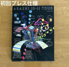ARASHI 10-11 TOUR Scene 君と僕の見ている風景